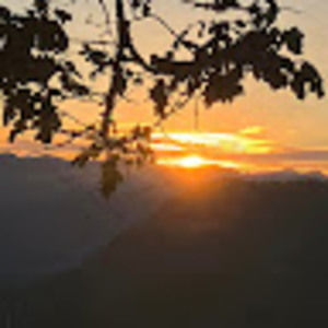 Meet your Posher, Samuel